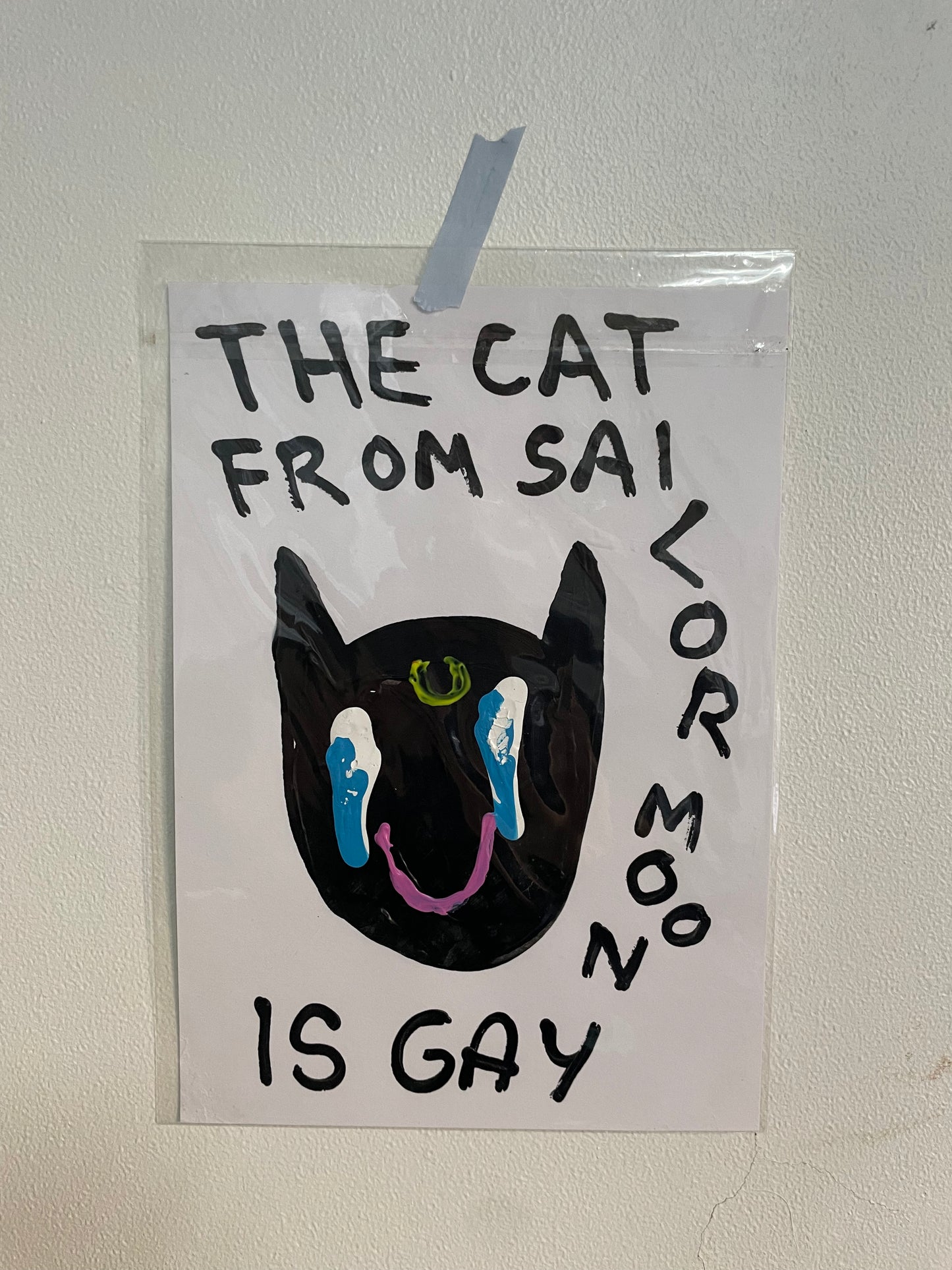 THE CAT FROM SAILOR MOON IS GAY