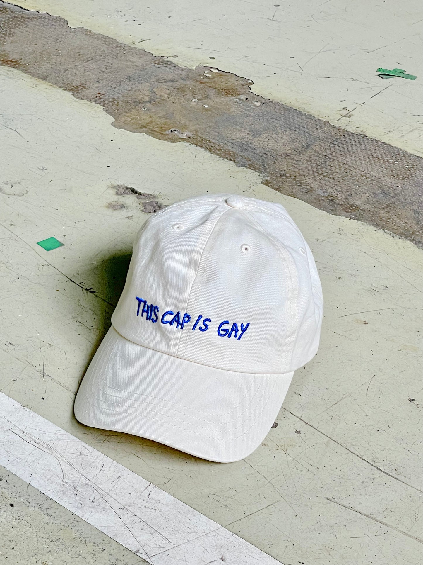 THIS CAP IS GAY