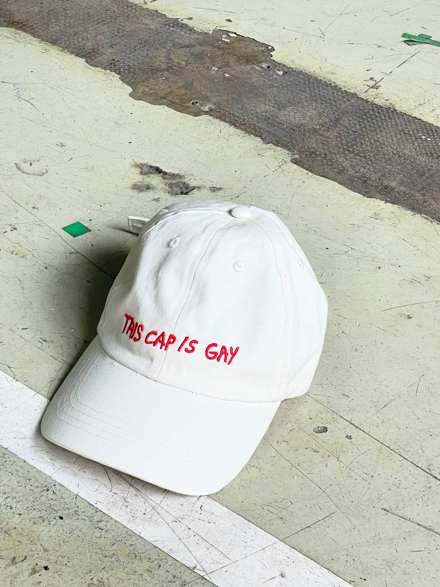 THIS CAP IS GAY