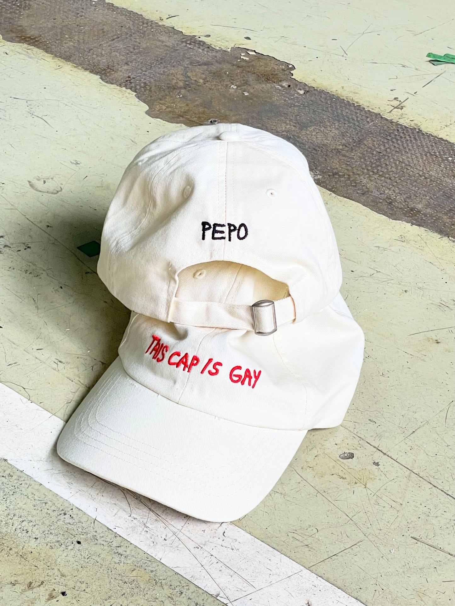 THIS CAP IS GAY