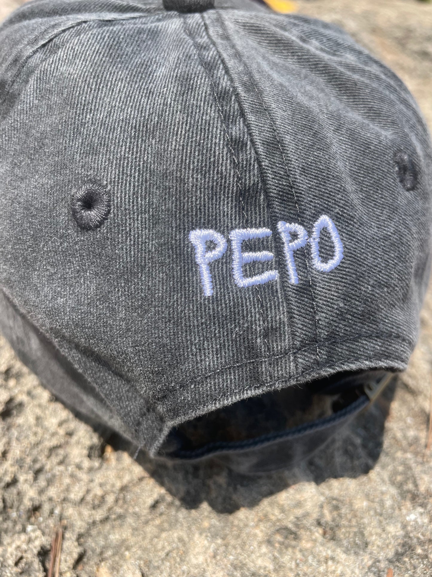 THIS CAP IS GAY