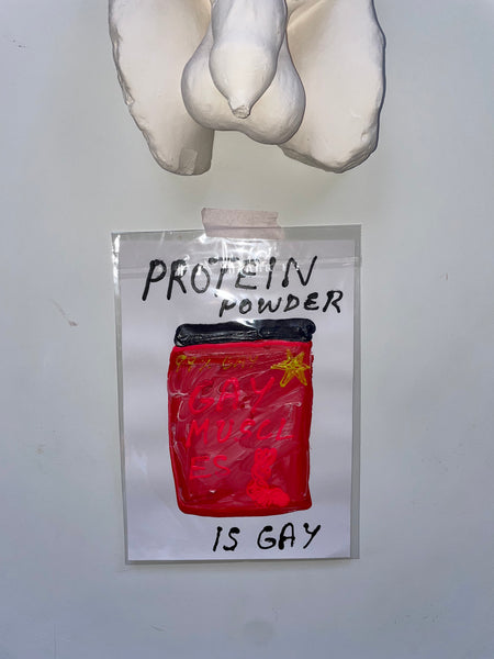 PROTEIN POWDER IS GAY