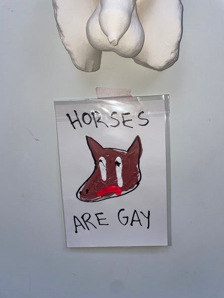 HORSES ARE GAY