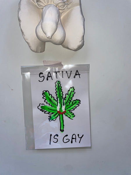 SATIVA IS GAY