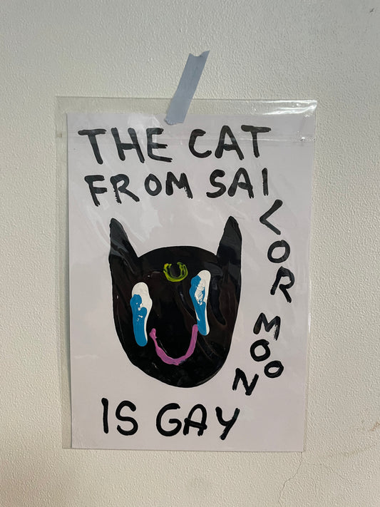 THE CAT FROM SAILOR MOON IS GAY