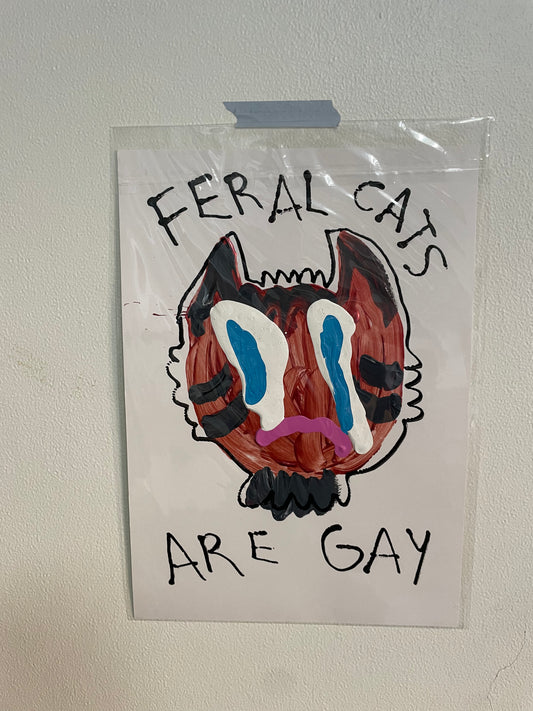 FERAL CATS ARE GAY