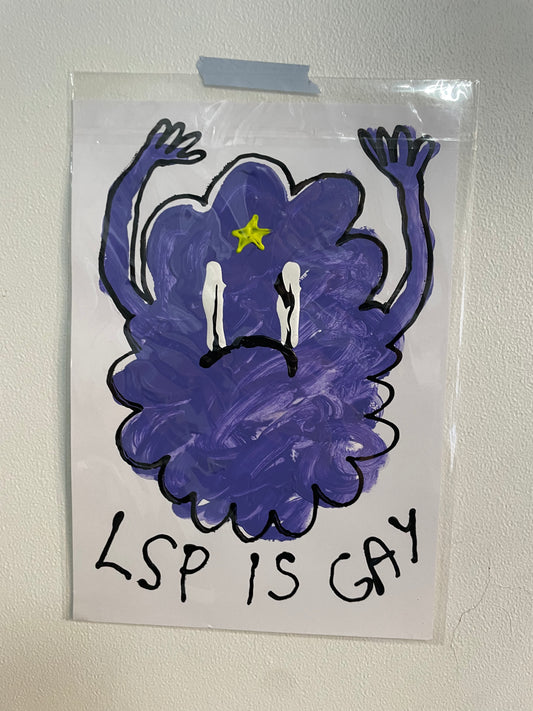 LSP IS GAY