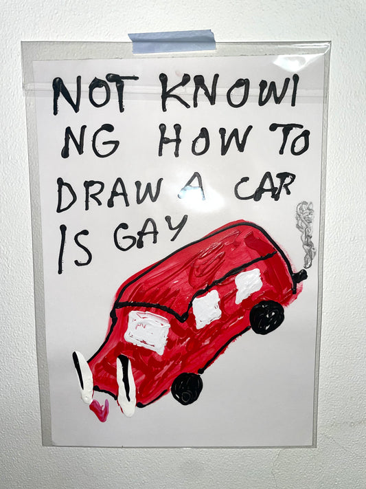 NOT KNOWING HOW TO DRIVE A CAR IS GAY