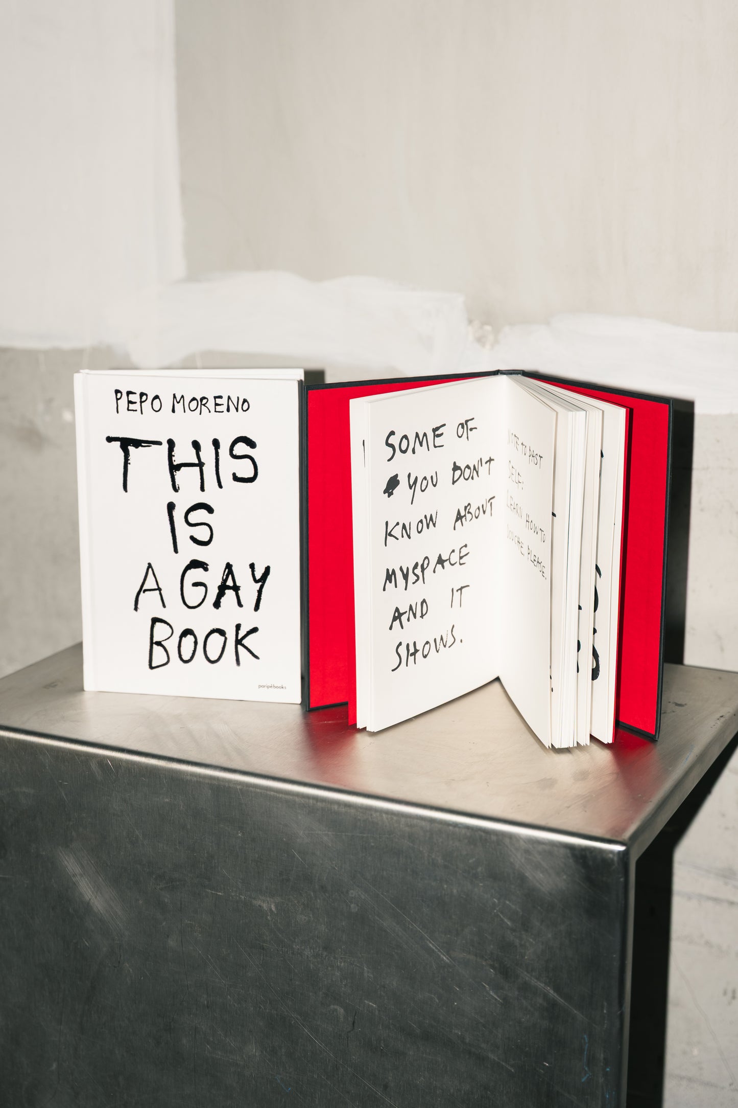 THIS IS A GAY BOOK