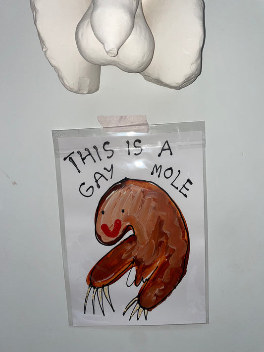 THIS IS A GAY MOLE