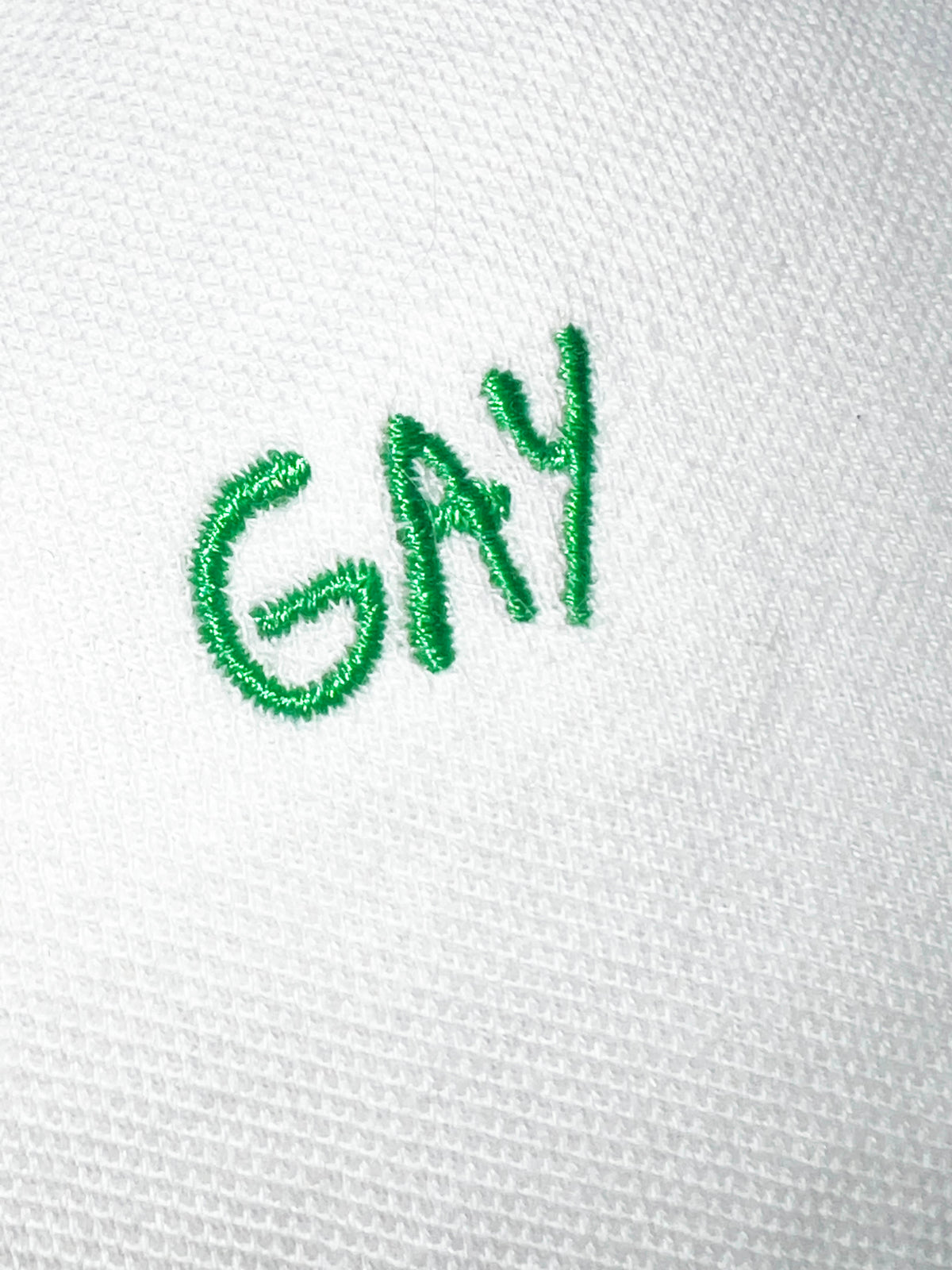 THE GAY POLO